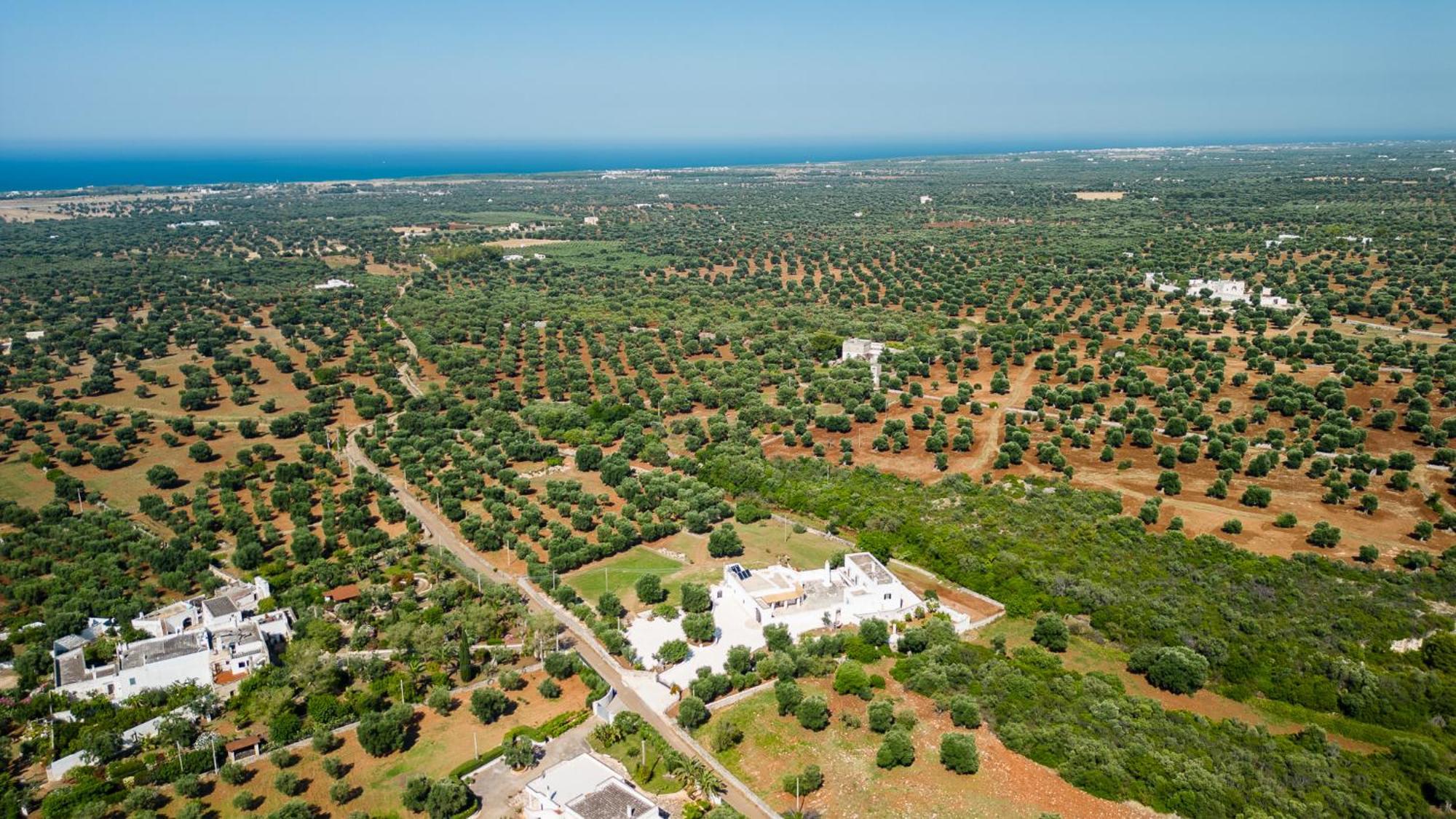 Masseria Abadia Uno Ostuni Buitenkant foto